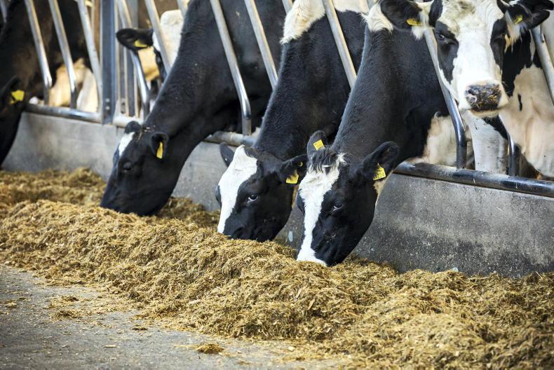 New nitrates banding option for dairy farmers - Vimarsana News