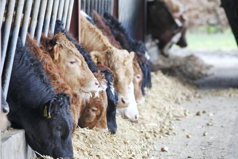 Beef prices: factories struggling to exert control on quotes - Vimarsana News