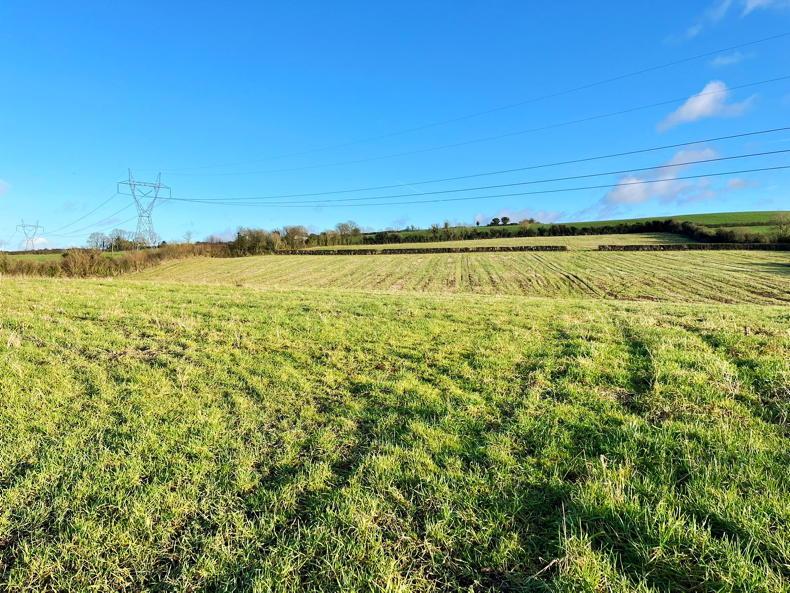 C18 acres of Laois tillage land goes for auction. Free