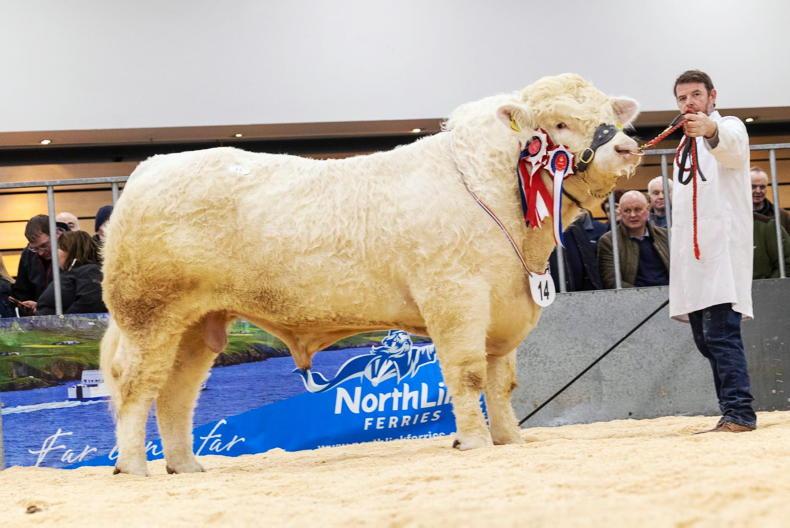 Tonley takes the top price in Thainstone