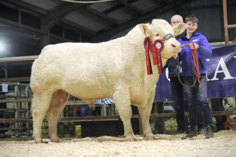 Watch: 'Some Machine' has all the nuts and bolts to top Clogher Valley 04 March 2023 Free - Vimarsana News