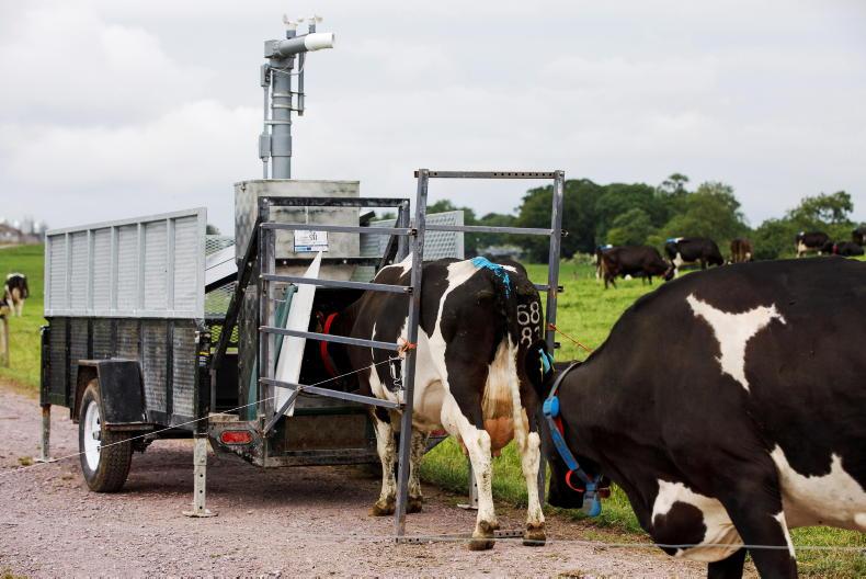 Carbon sub-index and beef shake up EBI - Vimarsana News