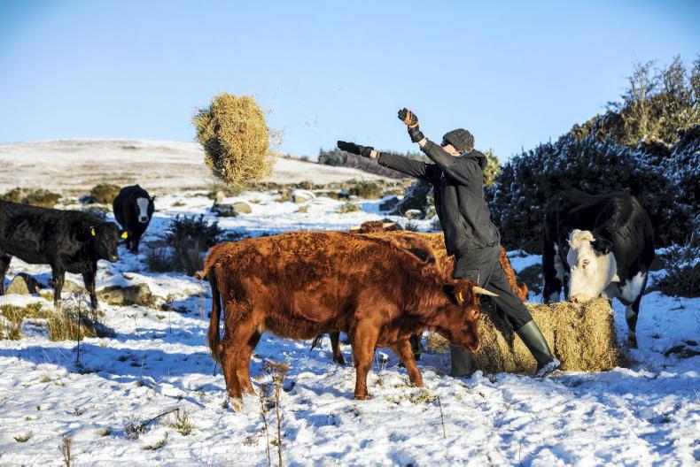 Snow photos: share your farm photos in snowy weather