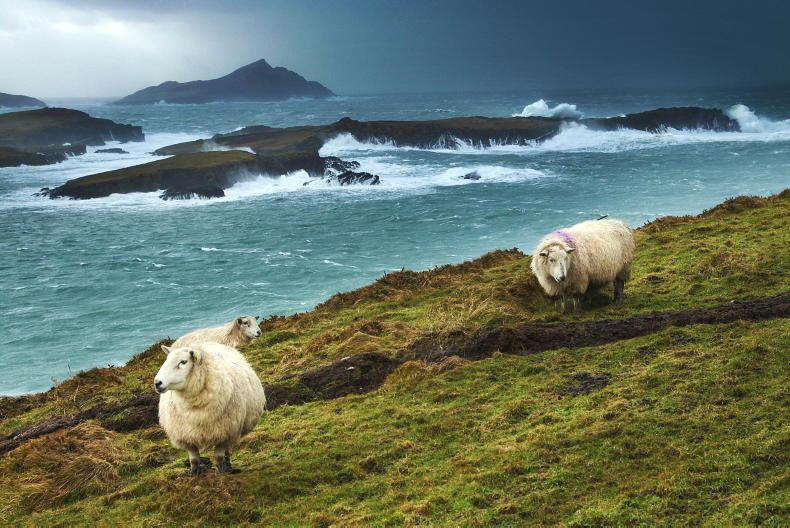 Life on the edge: how Ireland profits from peripheral status - Vimarsana News