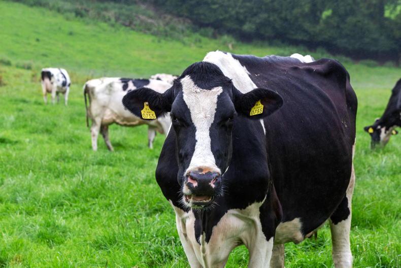 February milk prices cut by 4p/l in NI - Vimarsana News