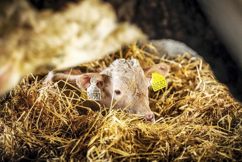 Weather woes on Tullamore Farm - Vimarsana News