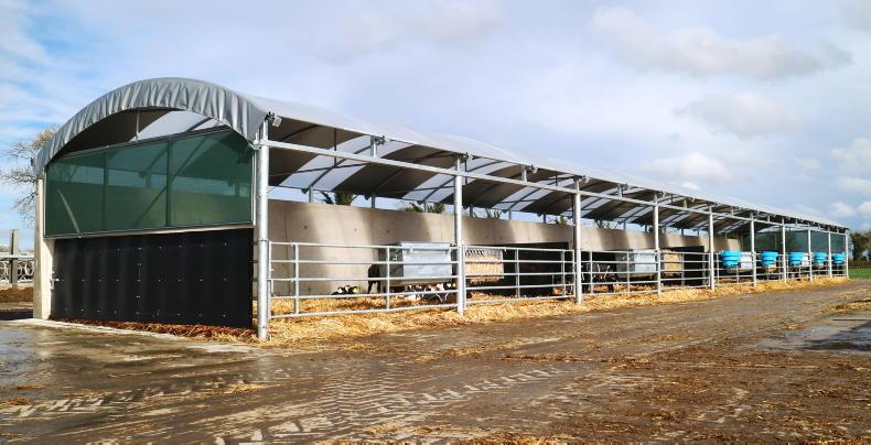 €16,000 polytunnel for 72 calves brings value for money to Meath farm - Vimarsana News