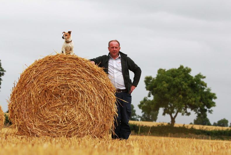 Farmer Writes: Our tillage industry is in the national interest - Vimarsana News