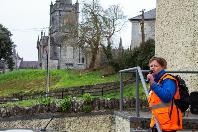 Meet the Waterford lady steering the development of St Declan's Way 05 April 2023 Free - Vimarsana News