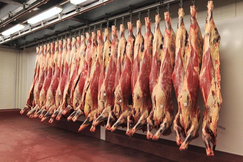 Beef Trends update: market signals look positive - Vimarsana News