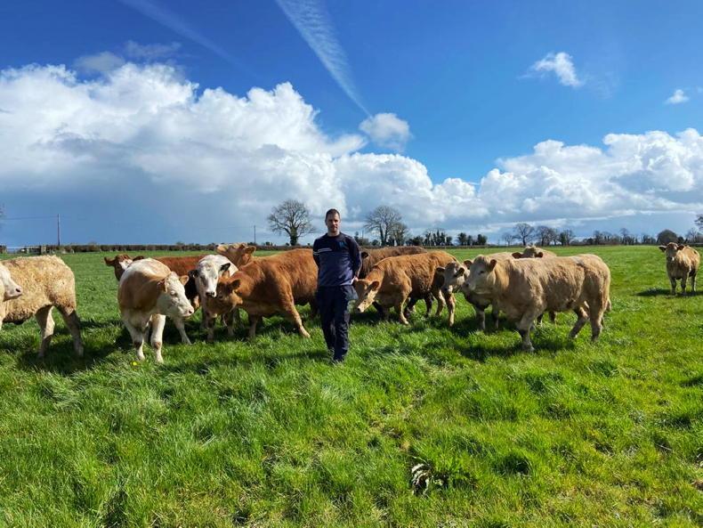 Improvements needed in P and K indices in Laois - Vimarsana News