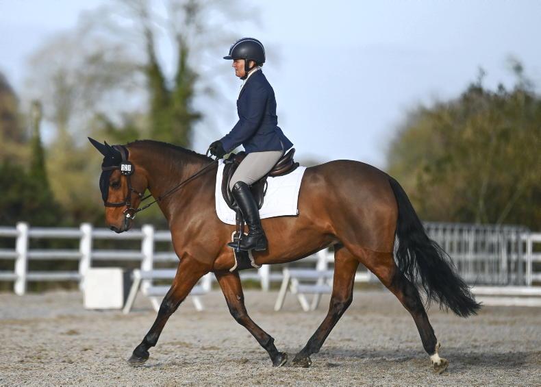 Risky business: safety in eventing      