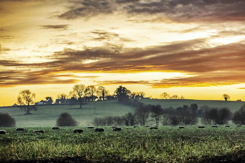 Supporting farmers through tough times - Vimarsana News