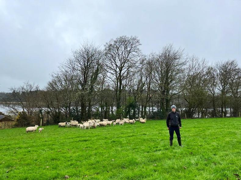 Busy as a bee on Tykillen Farm - Vimarsana News