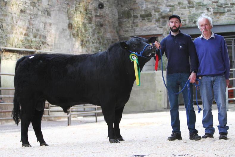 Up For Sale tops the trade in Bandon Free