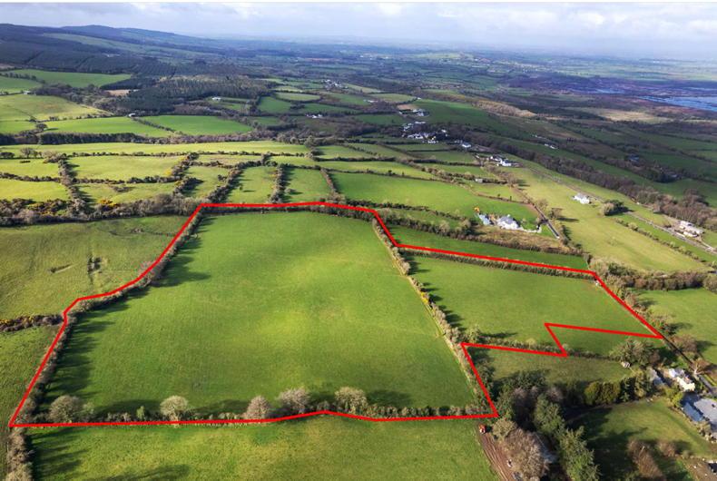 Two small holdings for sale in Offaly Free