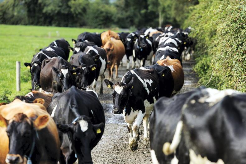 Dairy co-ops at a new crossroads - Vimarsana News