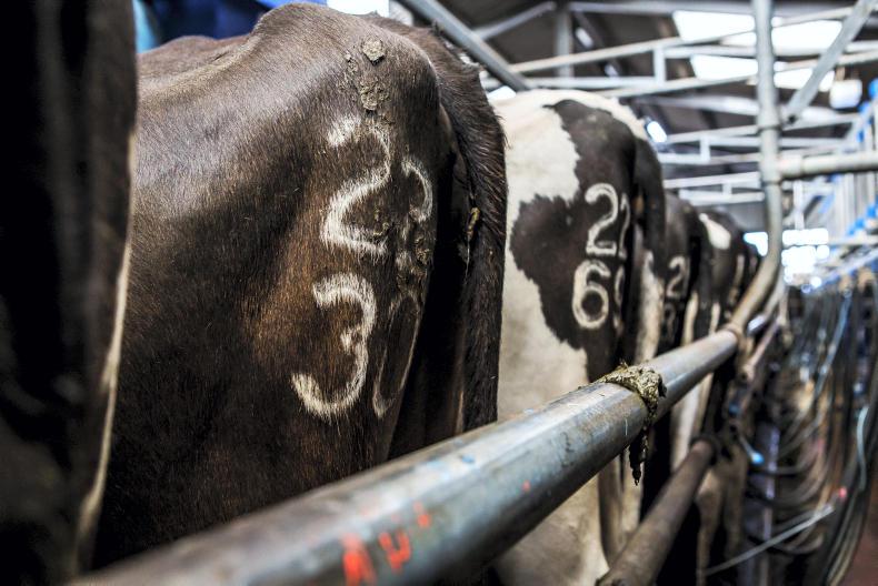 Controlling Johne's disease on NI farms 12 April 2023 Free - Vimarsana News