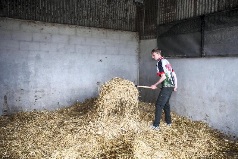 dealing-with-delayed-turnout-and-silage-fertiliser-planning-free