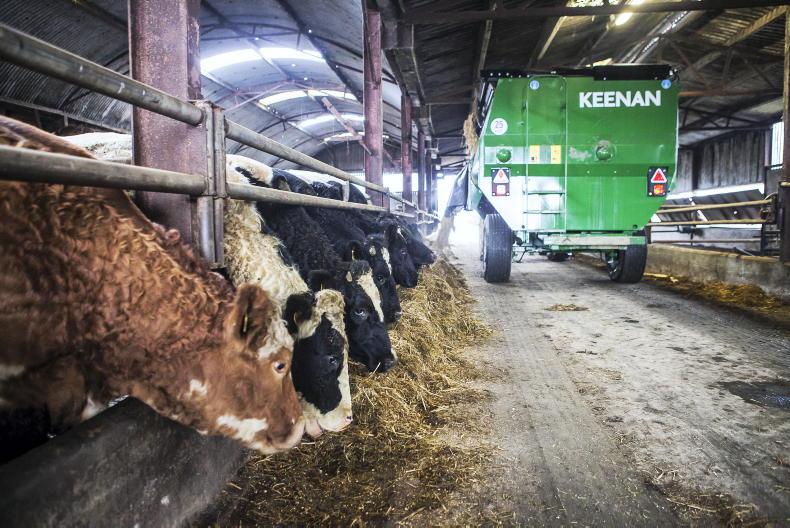 NI Trends: bank holidays steady beef trade; hogget and lamb prices push on - Vimarsana News
