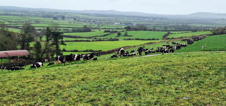 Footprint Farmers: bad weather leaves mark in Limerick - Vimarsana News
