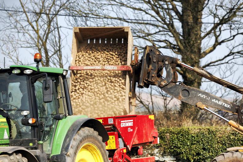 One week extension to seed and chipping potato grant aid deadline - Vimarsana News
