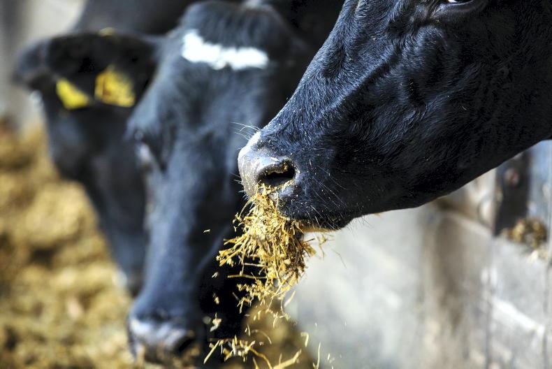 Teagasc warns of tight fodder supplies - Vimarsana News