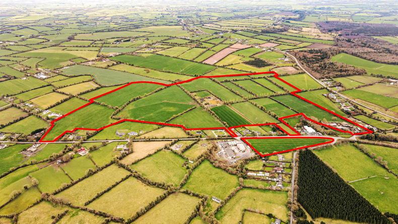 Working dairy farm in Meath for sale - Vimarsana News