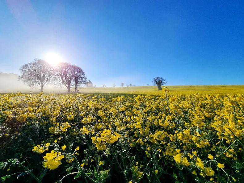 Arable April: reader photo competition under way