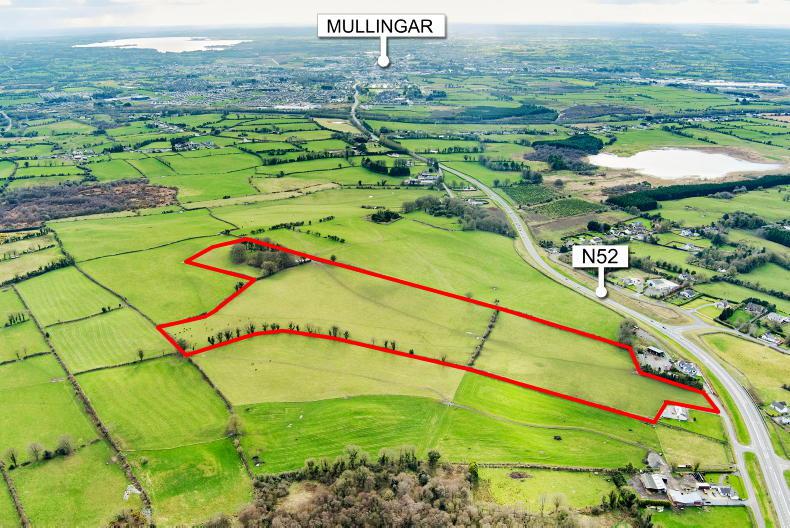 Farms going for auction in Westmeath Free