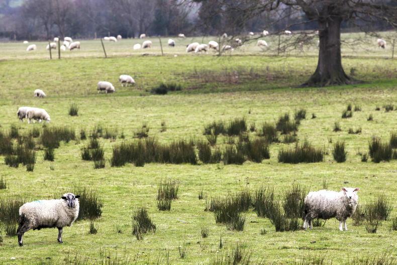 Farmer cash for baling and burning rushes – conference - Vimarsana News