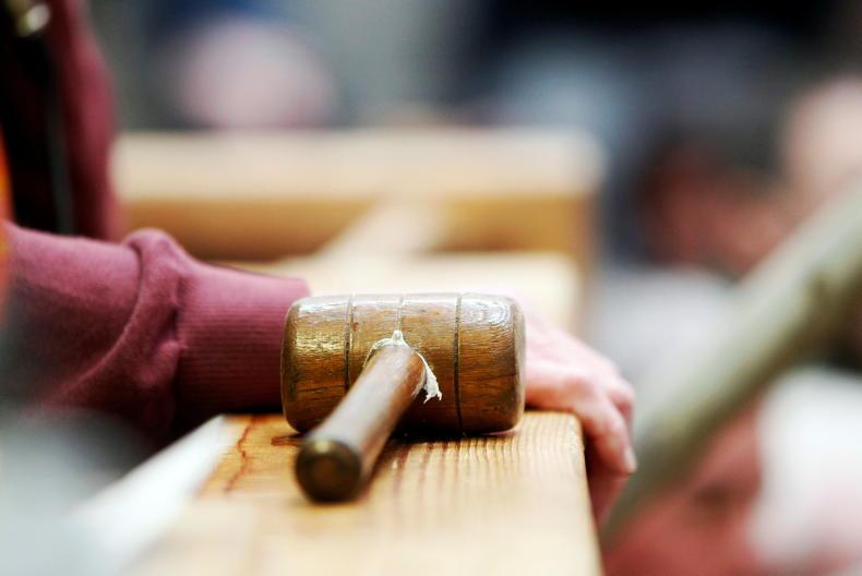 NI round-up: BPS entitlement deadline and £9,000 Charolais bull - Vimarsana News