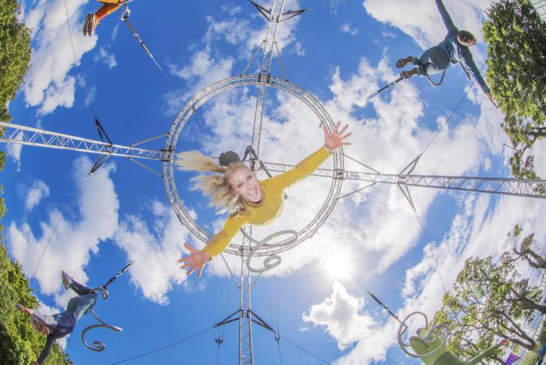Festival fever: summer festivals that are worth the trip - Vimarsana News