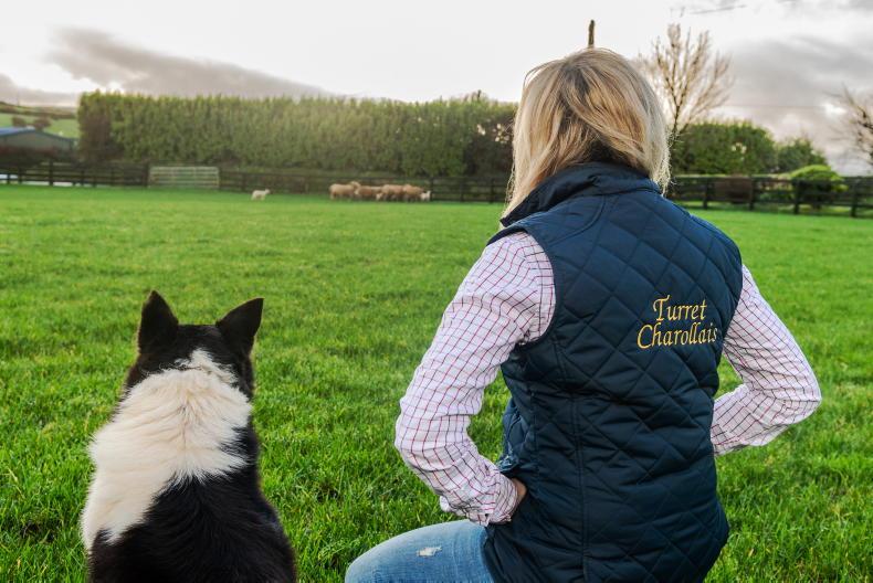Young Stock podcast: from 140 thousand followers on TikTok to presenting farming - Vimarsana News