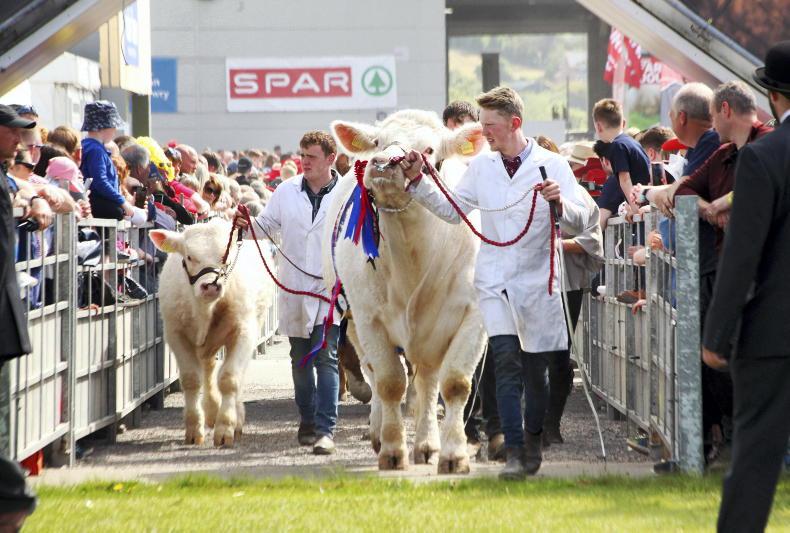 Balmoral Show 2023: follow the action live - Vimarsana News