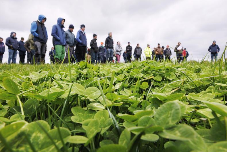 Dairy Management: grass growth "through the roof" - Vimarsana News
