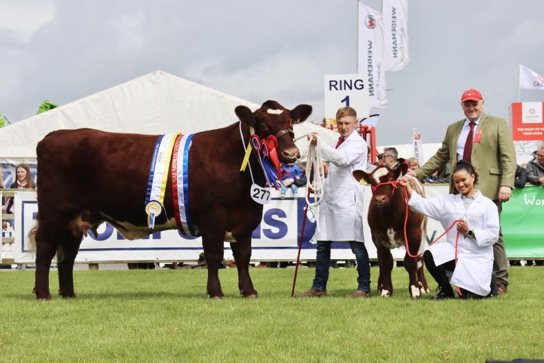 Watch: live from the ringside at Balmoral day two - Vimarsana News