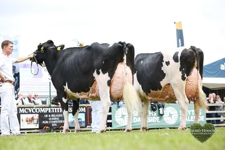 Watch: Live from the ringside at Balmoral show, day three - Vimarsana News