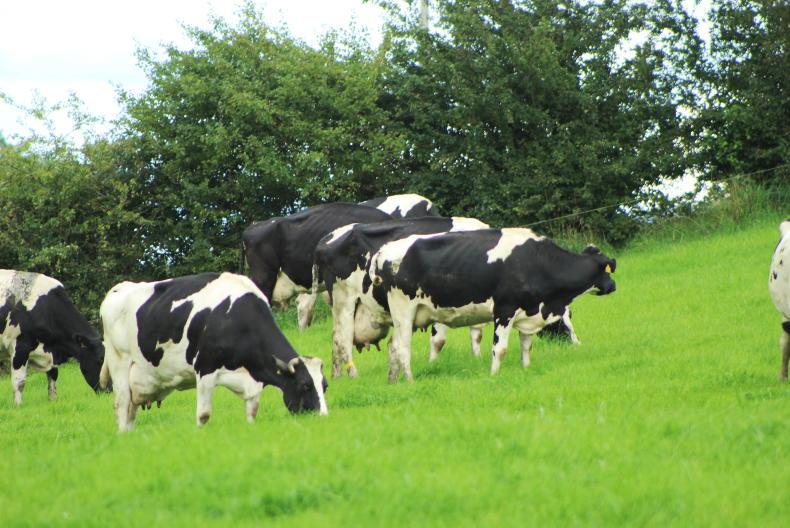 Genotype plan awaits green light from Brussels - Vimarsana News
