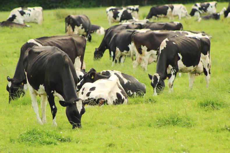 Kennedy wins Dale Farm's milk quality awards 17 May 2023 Free - Vimarsana News