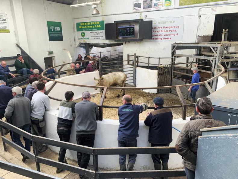 Camera at the Mart: grass buyers out in force in Carnaross - Vimarsana News