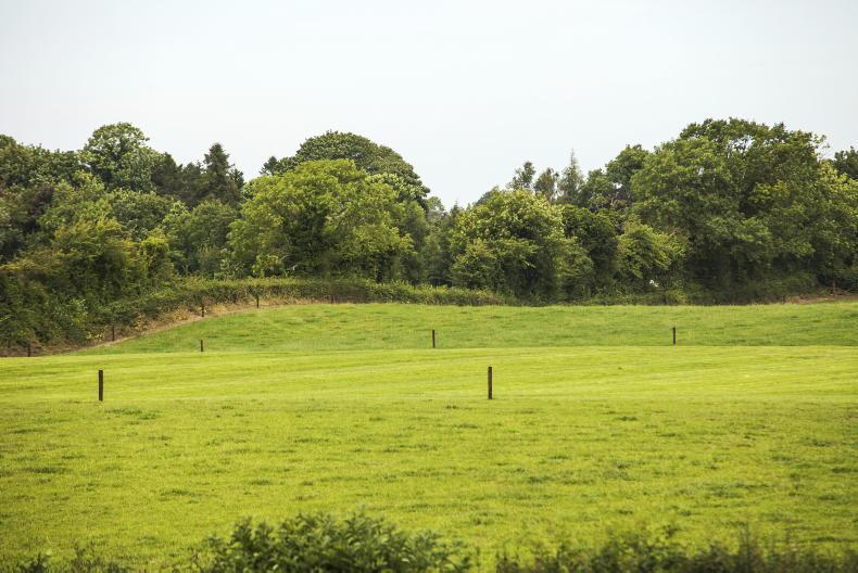 Family challenges farmer's will leaving bulk of estate to convicted fraudster 18 May 2023 Premium - Vimarsana News