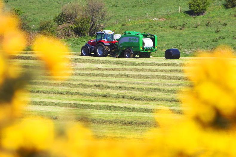 Watch: silage season kicks off under blue skies - Vimarsana News