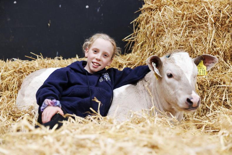 A young Cork star shining bright - Vimarsana News