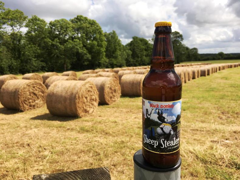 Beer: perfect barbecue brews