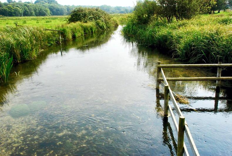 Inland Fisheries Ireland to fund solar drinking pumps for livestock in Offaly - Vimarsana News
