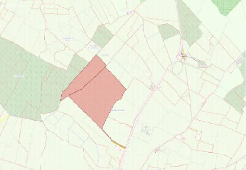 Large block of forestry for sale in Kilkenny - Vimarsana News
