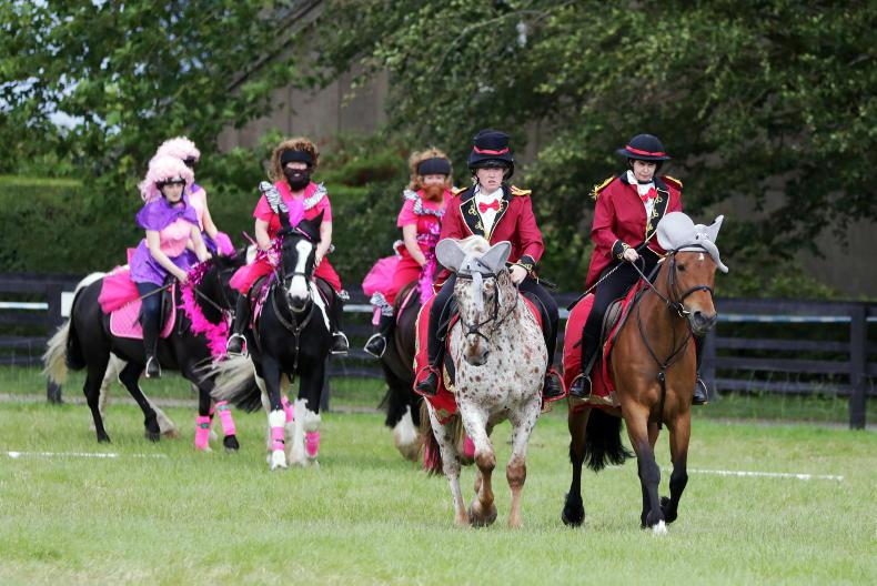 Hoping I never have to use my new first aid skills