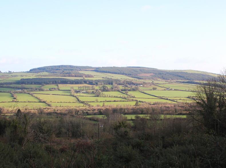 Realising the potential for Irish forestry