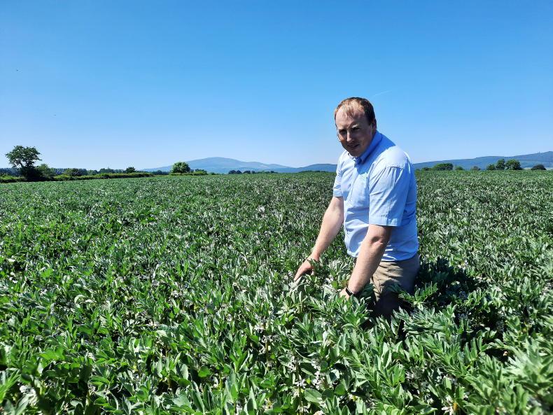 Accompany the Agronomist: crops looking well in the south east sunshine